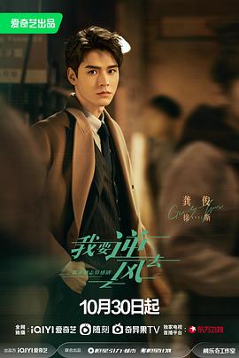 有什么网站优化方案